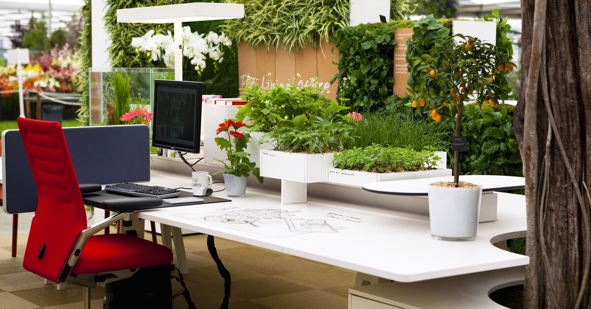 Brown Table, Green Furniture for Office